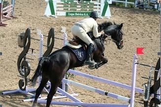 Generalidades y comentarios sobre el examen de compra en caballos - Image 1