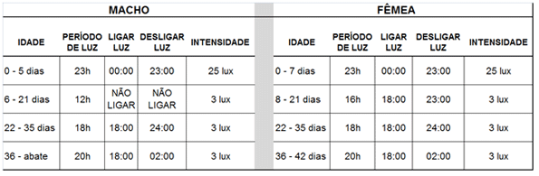 Sistemas Dark House para pollos de engorde - Image 1