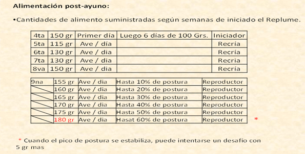 Técnicas de manejo para un segundo ciclo en reproductoras pesadas - Image 4