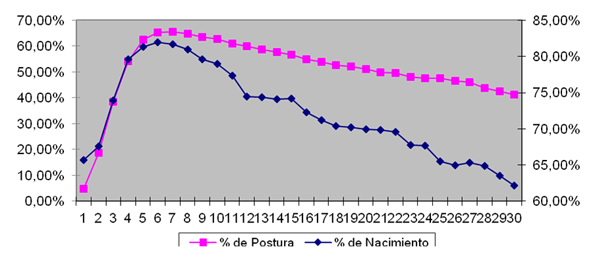 Técnicas de manejo para un segundo ciclo en reproductoras pesadas - Image 15