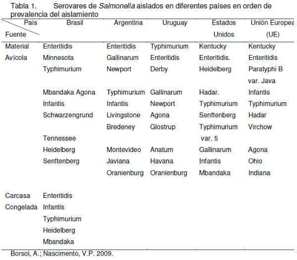 Epidemiología de la Tifosis y Paratifosis en Latinoamérica - Image 1
