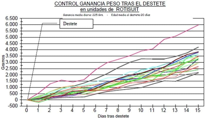 El destete y la bioclimatización en granjas de porcinos - Image 10