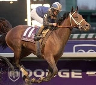 Generalidades de Medicina del deporte del caballo y la influencia del hipotiroidismo en el rendimiento - Image 1