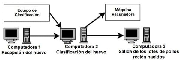 Desarrollo de un programa de cómputo de automatización destinado al manejo y control del huevo en empresas de incubación - Image 4