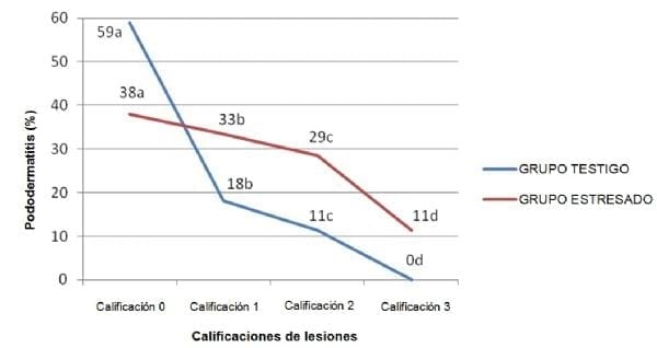 Incidencia de pododermatitis por contacto en pollos de engorde sometidos a estrés térmico - Image 3