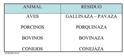 Subproductos en la alimentación animal - Image 4