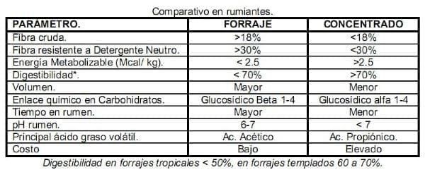 El forraje y el concentrado en caballos atletas (Parte I) - Image 7