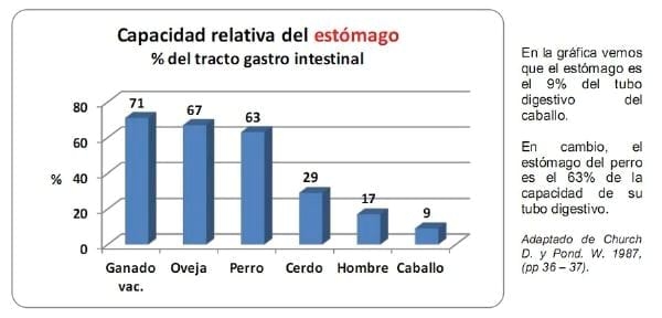 El forraje y el concentrado en caballos atletas (Parte I) - Image 2