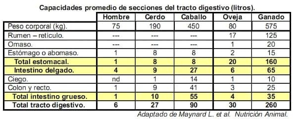 El forraje y el concentrado en caballos atletas (Parte I) - Image 4