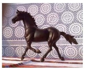 El forraje y el concentrado en caballos atletas (Parte I) - Image 22