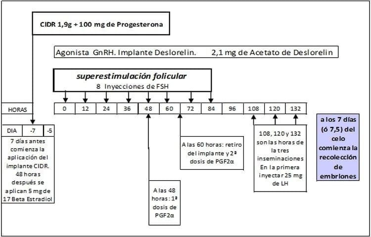 Respuesta a la superovulacion y calidad de los embriones en bovinos lecheros de elevado merito genetico, Uso de diferentes protocolos - Image 5
