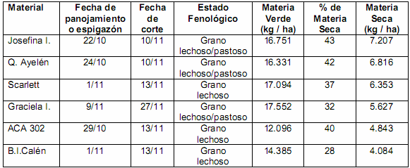 Cereales de invierno para silaje: una opción interesante para nuestra región - Image 4