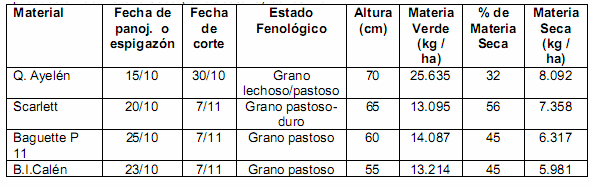 Cereales de invierno para silaje: una opción interesante para nuestra región - Image 3