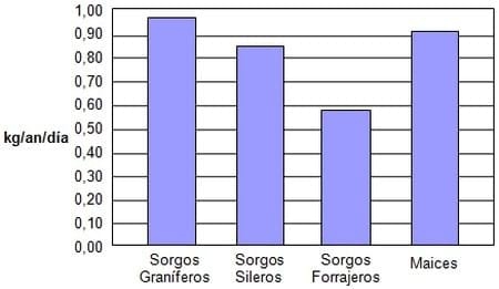 Forrajes conservados y suplementación - Image 4