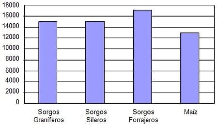 Forrajes conservados y suplementación - Image 1