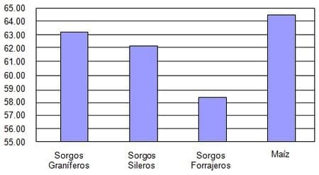 Forrajes conservados y suplementación - Image 3