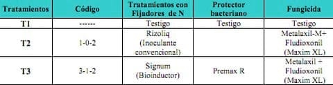 Evaluación de inoculantes y bioinductores en soja. Efectos sobre la nodulación, el rendimiento y su interacción con Prácticas de manejo - Image 2