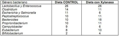 Enzimas exógenas, sus efectos sobre la Nutrición y sobre la Flora microbiana intestinal del lechón destetado - Image 11