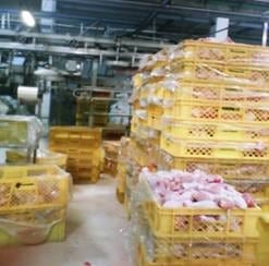 Estudio para determinar el tiempo de deshidratación de las canales de pollo marinadas en área de despresado y empaque - Image 2