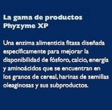 Los beneficios de las enzimas - Image 3
