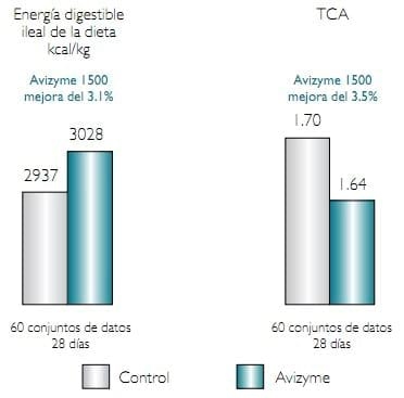 ¿Por qué usar Avizyme® en los alimentos avícolas con maíz o sorgo? - Image 1