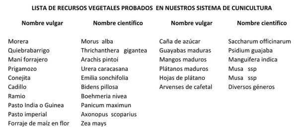 Cunicultura Tropical - Image 2