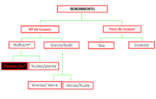 Densidad de siembra en Cultivo de Soja - Image 1