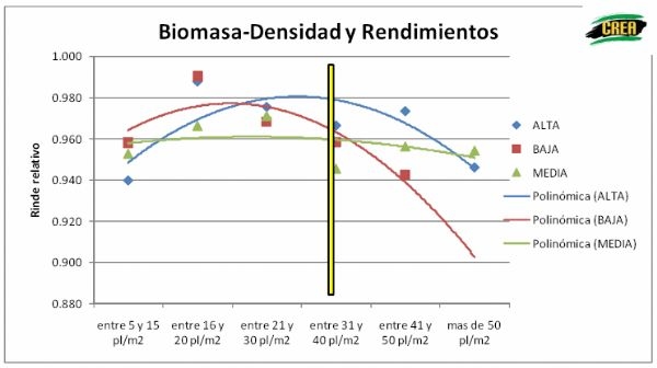Densidad de siembra en Cultivo de Soja - Image 18