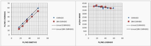 Densidad de siembra en Cultivo de Soja - Image 21