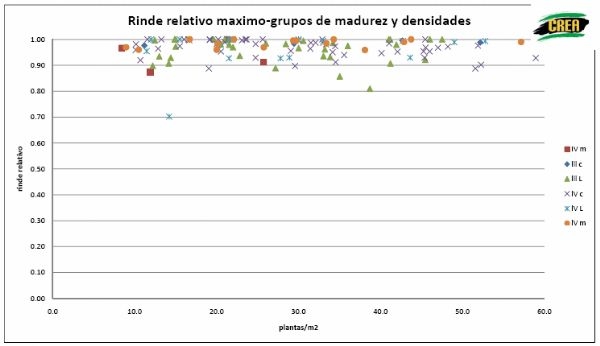 Densidad de siembra en Cultivo de Soja - Image 20