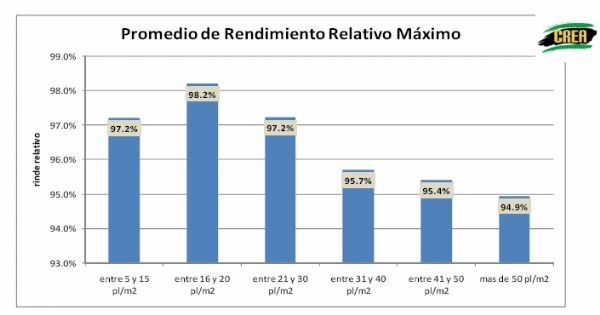 Densidad de siembra en Cultivo de Soja - Image 12