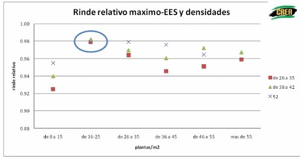 Densidad de siembra en Cultivo de Soja - Image 19