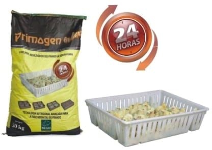 Nutrición del pollito inmediatamente después de la eclosión - Image 6