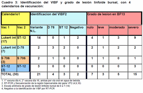 Caracterización genética de cepas de campo del virus de la afeccion de la bolsa de fabricio detectadas en granjas de pollo de engorda en el Estado de Nuevo León - Image 4