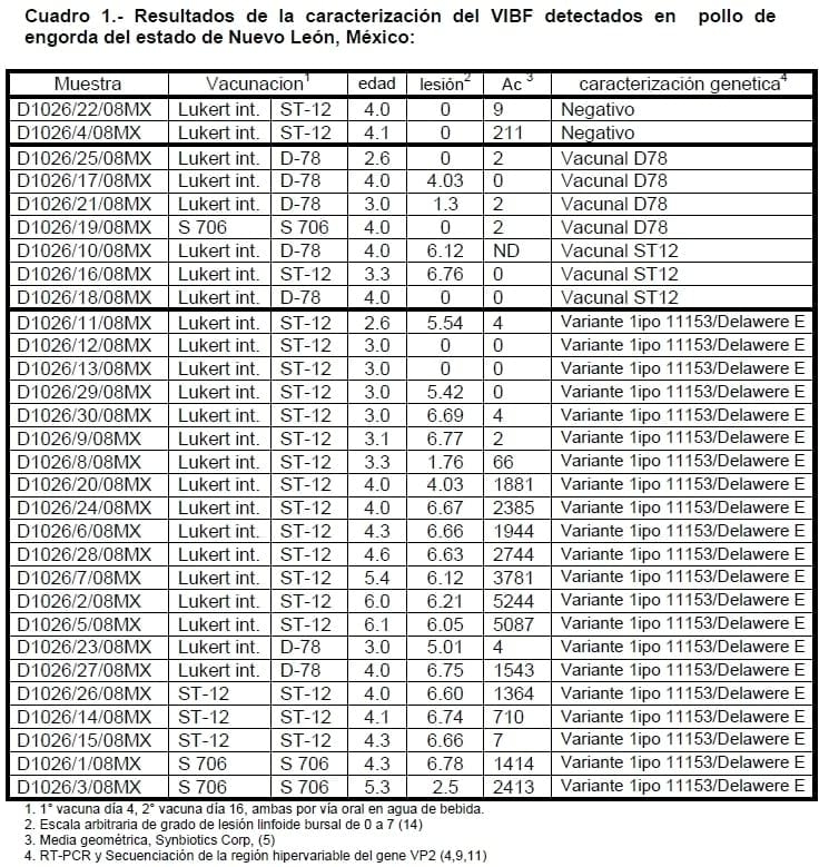 Caracterización genética de cepas de campo del virus de la afeccion de la bolsa de fabricio detectadas en granjas de pollo de engorda en el Estado de Nuevo León - Image 1