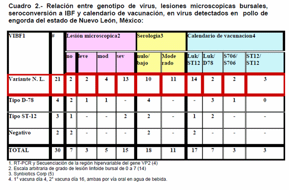 Caracterización genética de cepas de campo del virus de la afeccion de la bolsa de fabricio detectadas en granjas de pollo de engorda en el Estado de Nuevo León - Image 3