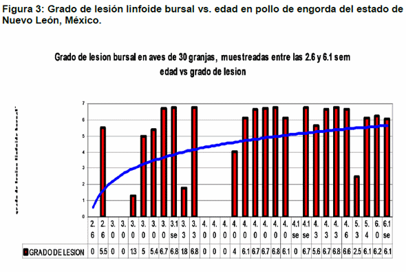 Caracterización genética de cepas de campo del virus de la afeccion de la bolsa de fabricio detectadas en granjas de pollo de engorda en el Estado de Nuevo León - Image 8