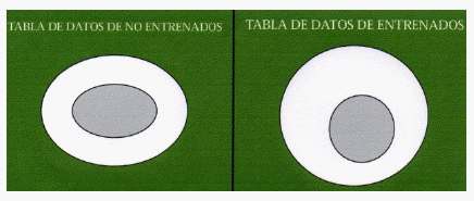 El Hueso en la Produccion Equina I - Image 5