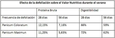 La henificación como herramienta para incrementar la eficiencia del uso de pasturas megatérmicas - Image 4