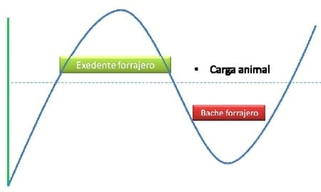 La henificación como herramienta para incrementar la eficiencia del uso de pasturas megatérmicas - Image 1