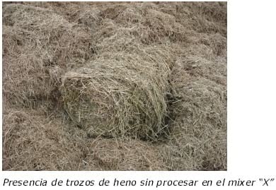 Evaluación de mezcladores de alimentos (Mixer) con sistemas de sinfines verticales - Image 6