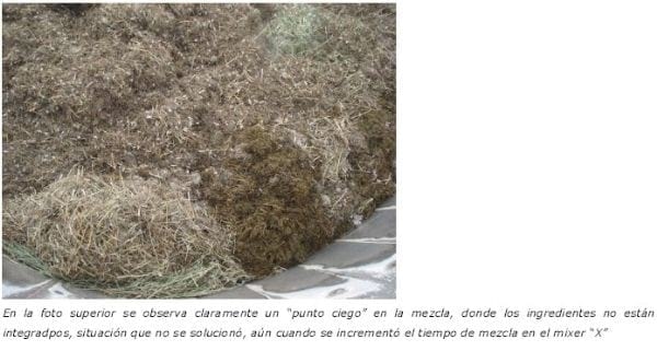 Evaluación de mezcladores de alimentos (Mixer) con sistemas de sinfines verticales - Image 8