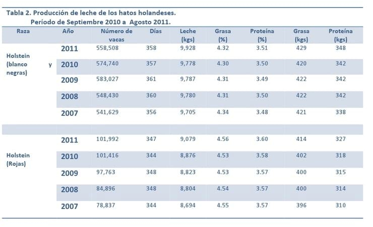 Alta producción de por vida con mejor fertilidad, las vacas Holstein en Holanda - Image 3