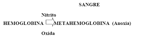 Intoxicación por nitratos, peligro latente - Image 3