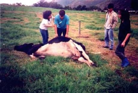Intoxicación por nitratos, peligro latente - Image 8
