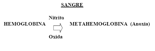Intoxicación por nitratos, peligro latente - Image 7
