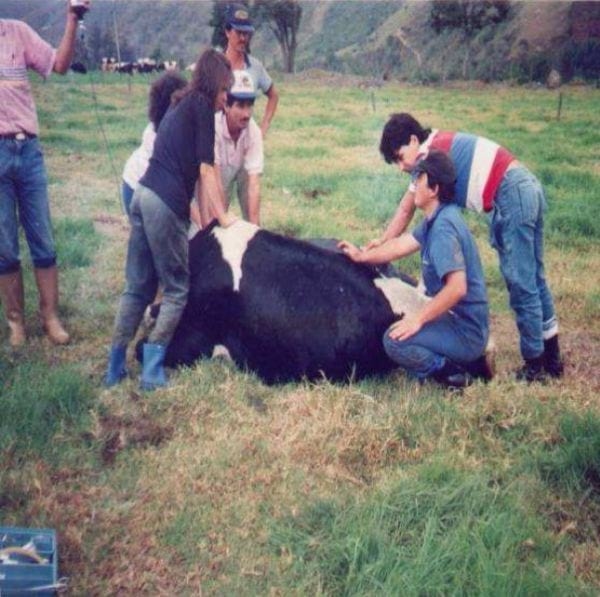 Intoxicación por nitratos, peligro latente - Image 14