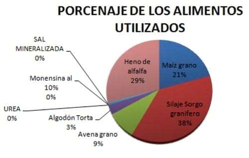 Alimentación de toros en confinamiento en el período invernal para exposición y venta - Image 3