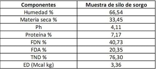 Alimentación de toros en confinamiento en el período invernal para exposición y venta - Image 1