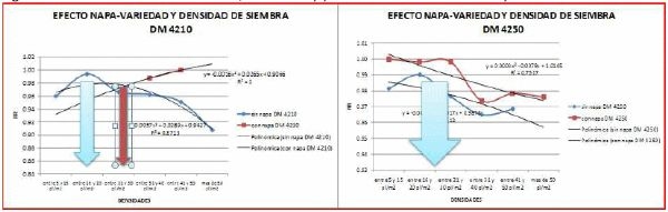 Red de ensayos exploratorios de respuestas a cambios en densidades de siembras en soja de primera - Image 10